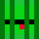 Not_MrWatermelon