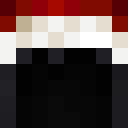 The_Traveler