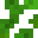 Placidhead