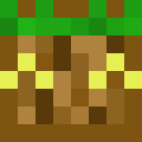The_chosen_Torch