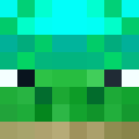 23TurtleCraft