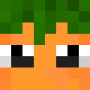 Vipxr