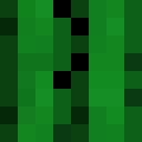 Cactus_PL