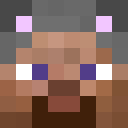 Qfs