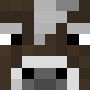 QuinnZeer