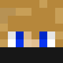 Zauky