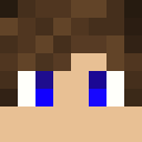 WslSilva