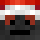 agier_