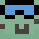 turtletoodle