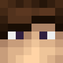 HSGMiner