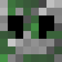 Regi1406