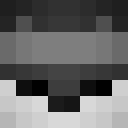 Verilz_
