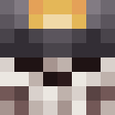 ARIN43