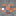 Avatar di Brakko99