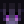 DatRandomHuman