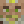 Dino_Rider