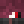 Dragond33znuts_