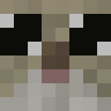 Голова игрока FastAsFBoi