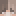 Avatar di Jin_Topo