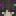 Avatar di KeyAsian