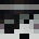 MadMan779