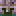 Avatar di Nicetub341