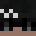 SlaZixS