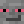 TristanTheFrog