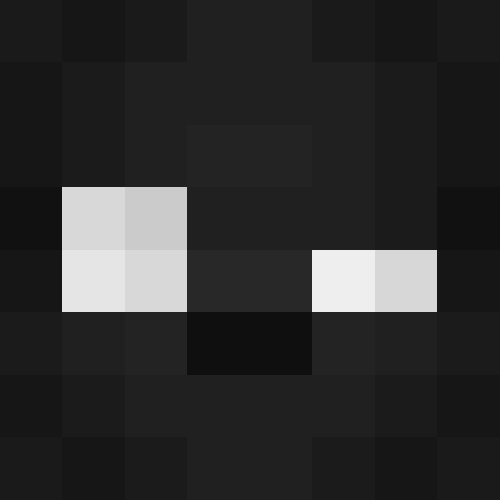 ZzSnkeX
