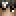 Avatar di _Blackes
