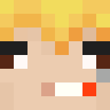 Голова игрока _Nikt0_