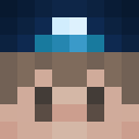 The_Squeegee