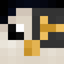 Wise_fool1