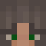 Not Letting Me Log Onto Skyblock Invadedlands
