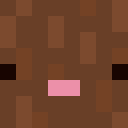 funky__sheep