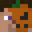 lego_vig