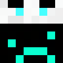 snowcloaker