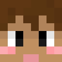 _MINEMETRO_
