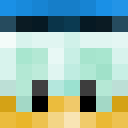 Duck_nova