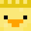 wesleyduck5867