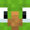 Perruche_