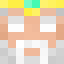 stixess