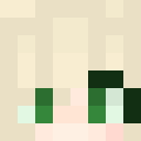 1Duster