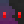 ingogbe