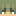 Avatar di minefield1997