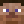 rhycanfly