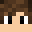 rickshadow