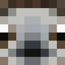 sloth