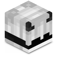 zacprogamer