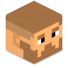 PlonkiesDoesUhc